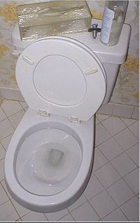 Close coupled cistern type flushing toilet.