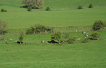 The Girdle Stanes stone circle - geograph.org.uk - 819407.jpg