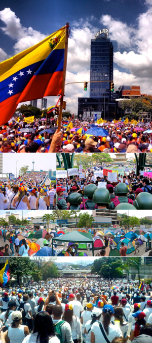 2014 Venezuelan Protests Collage.png