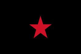 Flag of the EZLN.svg