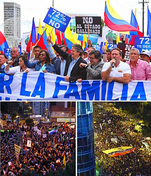2015 Ecuadorian protests.jpg