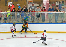 A hockey player in a black uniform with a puck on his stuck is confronted by two opponents in white near the wall of the rink. Above him, adults and children variously dressed in warm-weather clothing such as T-shirts, shorts and sandals watch them closely from between the glass and netting behind it