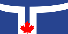 Toronto's Flag