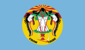 Crow Tribe (Montana, United States)