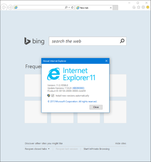 Internet Explorer 11 screenshot.png