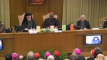 File:▶ John Zizioulas presents the encyclical Laudato si' at the press conference in Rome.webm
