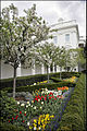 White House Rose Garden.jpg