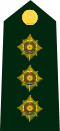 Cdn-Army-Capt(OF-2)-2014.svg