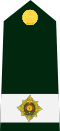 Cdn-Army-OC-2014.svg
