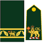 Army Insignias - Governor General of Canada.png