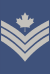 Cdn-Air Force-Sgtl(OR-6)-2015.svg