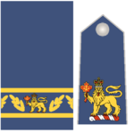RCAF Insignias - Governor General of Canada.png