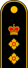 OPP Chief Superintendent (SB).png