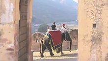 File:Exciting Elephant Ride in Jaipur at Amer Fort.webm