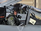 Pilots of No. 77 Squadron in their F/A-18 Hornets, 2010