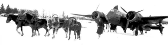 Two horses in front and a bomber in behind.
