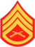 three chevrons up and one rocker with crossed rifles