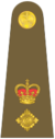 Lieutenant-Colonel