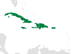 Location within the Caribbean.