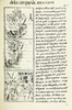The Florentine Codex- Battle.tif