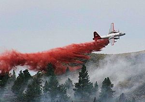 BLM Firefighting at Pine Mountain, Oregon (14186496134).jpg