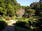 Japanese Garden at Mount Coot-tha Botanic Gardens