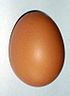 Brown chicken egg.jpg