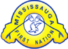 Official seal of Mississagi River 8