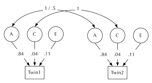 Twin Study Structural ACE model STD.png