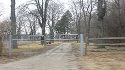 Driveway at the Dodge Site.jpg