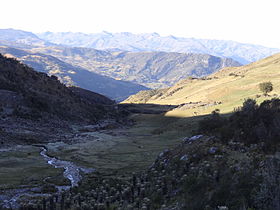 Guican Sierra Nevada del Cocuy.JPG