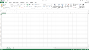 Microsoft Excel 2013 Default Screen.png