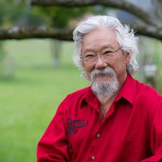 A head and shoulders image of David Suzuki. He is smiling at the camera and wearing a red collar shirt. Behind him are trees and green grass.