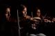 Three youths play violins