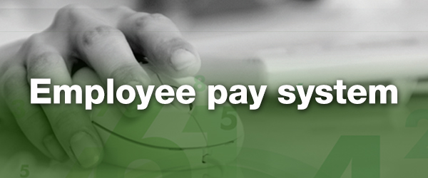 Employee pay system