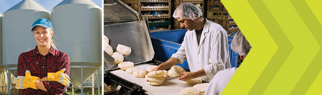 Female factory worker and workers at a bread