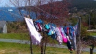 Clothes on the line