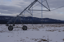 The new wastewater spray irrigation system in Cranbrook