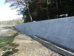 The new seawall in Vancouver's Stanley Park