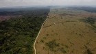 Brazil Amazon Destruction