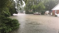 Fortes pluies et inondations dans Windsor-Essex
