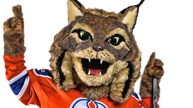 Hunter le lynx canadien, nouvelle mascotte des Oilers d'Edmonton. 