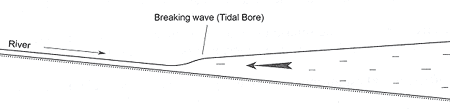 Fig. 1. Generation of a tidal bore