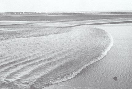 Fig. 2. Tidal bore on the Petitcodiac River at Moncton, New Brunswick.<br />
(Photo by D.G. Mitchell, Canadian Hydrographic Service, 1960)