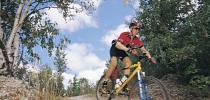 Photo d'un adepte du vélo de montagne sur une colline du parc de la Gatineau 