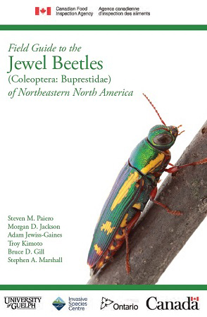 Cover page of the Field Guide to Jewel Beetles (Coleoptera: Buprestidae) of Northeastern North America