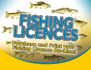 Purchase a Fishing Licence