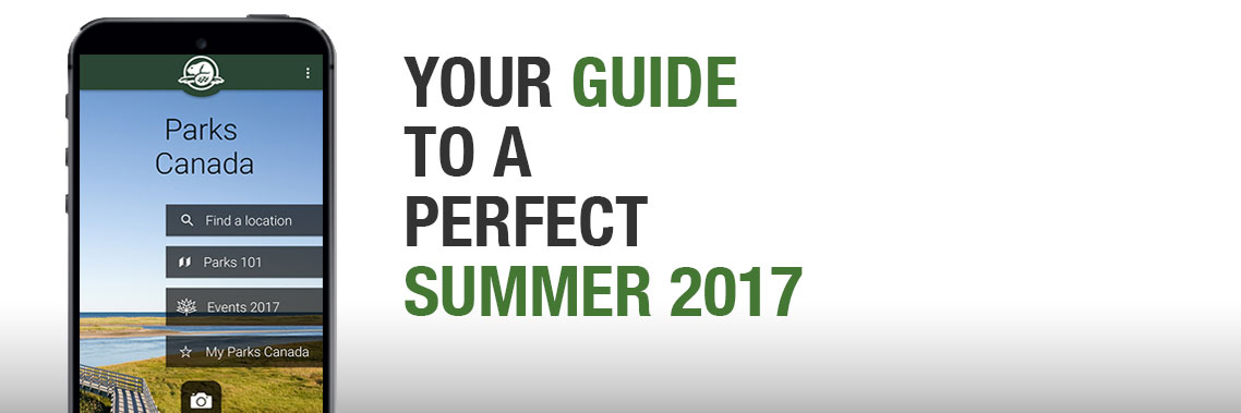 Your guide to a perfect summer 2017