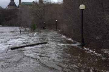 Recent rising water levels caused flooding on pathways
