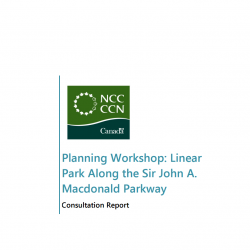 Planning Workshop: Linear Park Along the Sir John A. Macdonald Parkway - Consultation Report